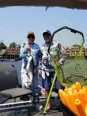 32 1/2 inch and 7 1/2 pound blue catfish