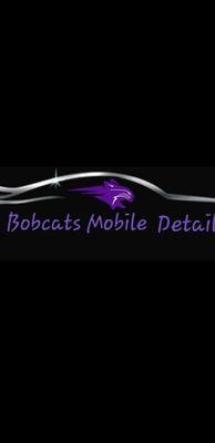 Bobcats Mobile Detail