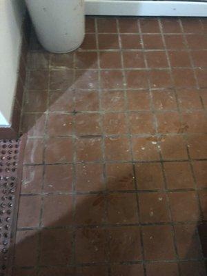 Floor coming out of shower stall