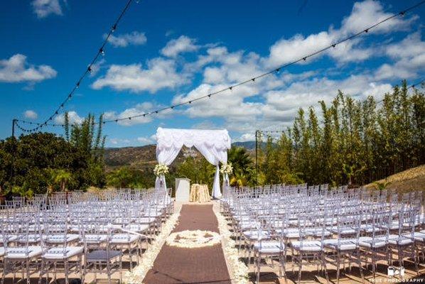 Chiavari Chair Rental