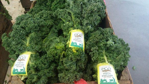 Organic Kale from Rose Hill NC...