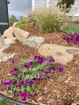 Northern White Cedar Mulch