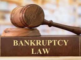 Bankruptcy Lawyer