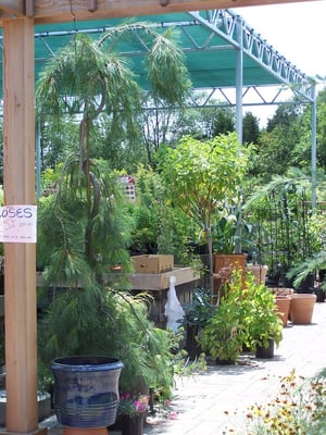 Natural Art Garden Center