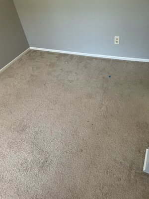 Before and After pics of carpet cleaning