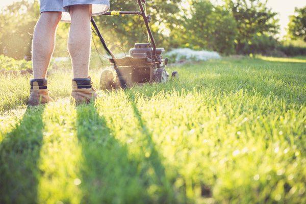 Lawn cutting