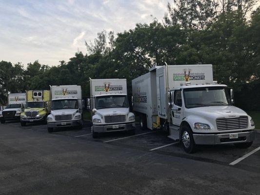 Shred Monkeys fleet of onsite shredding trucks.