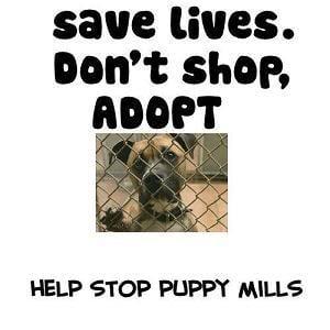 Stop Puppys Mills