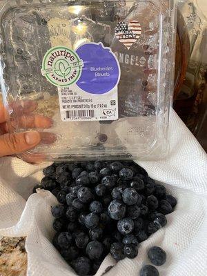 Had to share yummy  "Blueberries