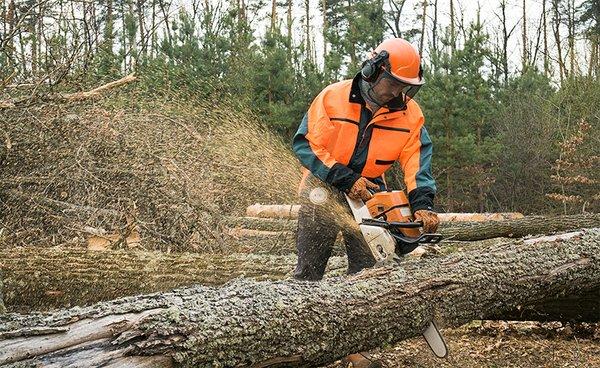 Tree Removals are one of most dangerous task. We are experts in how to remove your trees in safe, insured and bonded way...