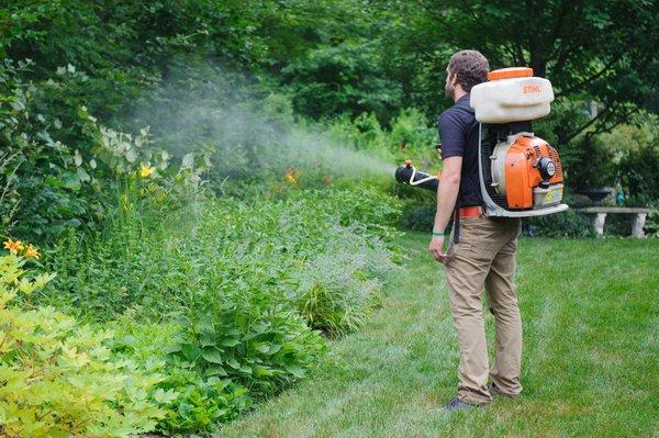 Our priorities include providing a safe and effective treatment to your lawn to eliminate ticks and mosquitoes.