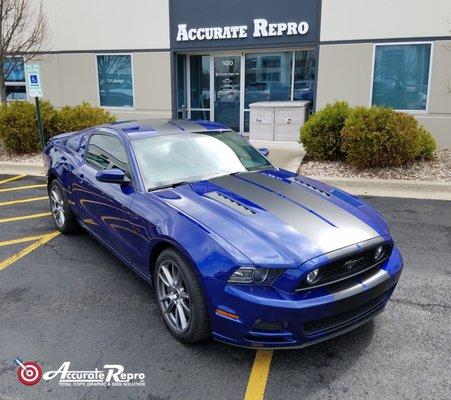 2014 Ford Mustang - Rally Stripe Install