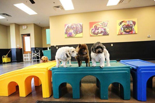 Daycare fun!