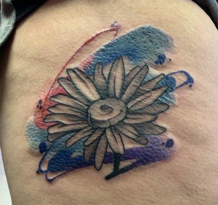 Daisy tattoo with black/grey shading and water colored background