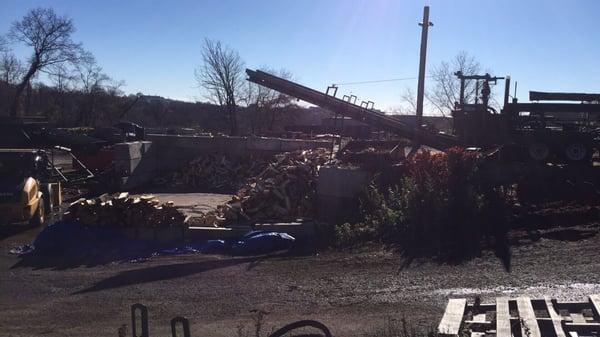 Firewood bin and processor