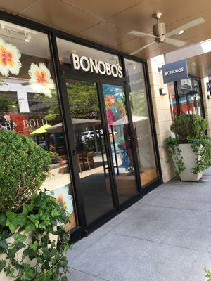 Bonobos