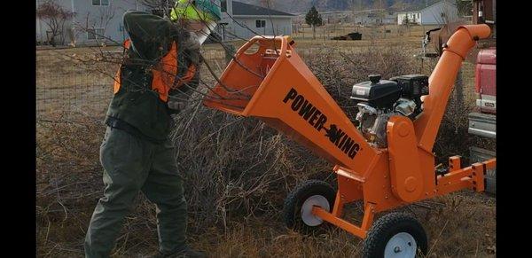 Wood chipper power king home depot hedge trimming and tree service 59602