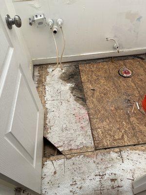 Hole in bathroom floor