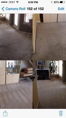 Before and after carpet cleaning