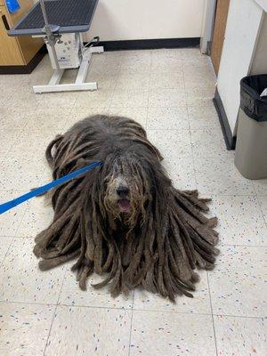 Bergamasco cording