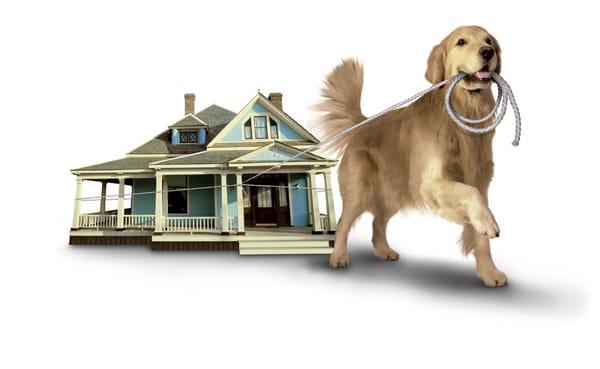 The Coldwell Banker Retriever can you help find just the right home.  Give us a call to get started.  We're here to help.