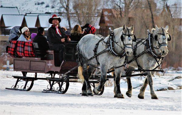 Buckaroos Horse-Drawn Rides