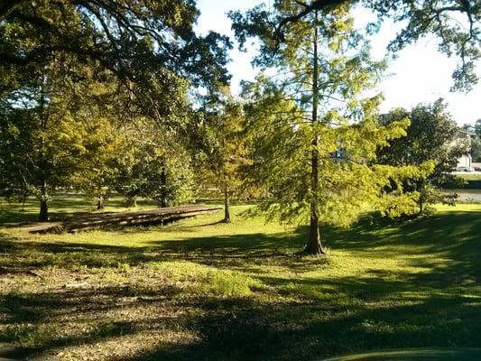 Looking towards the Bayou Teche.