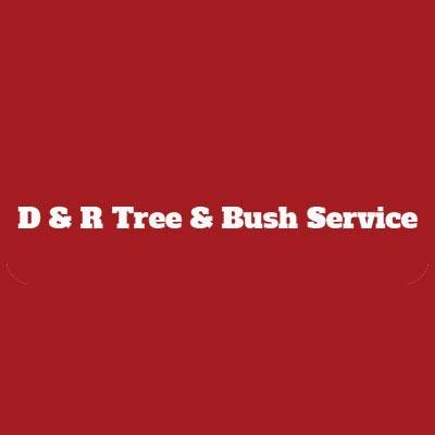 D & R Tree & Bush Service