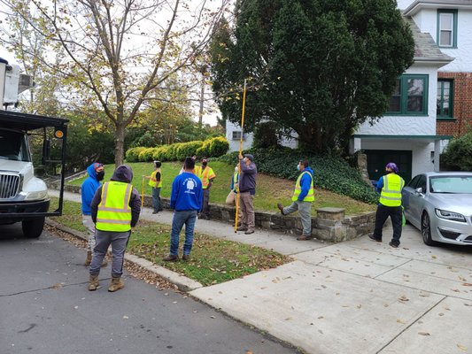 Pruning class