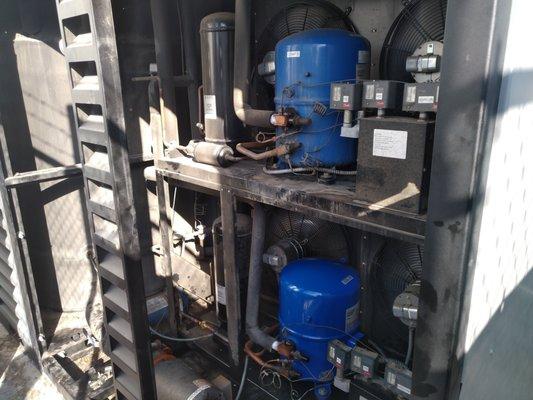 Glycol chiller service