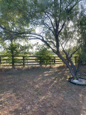 Compact RV site view.