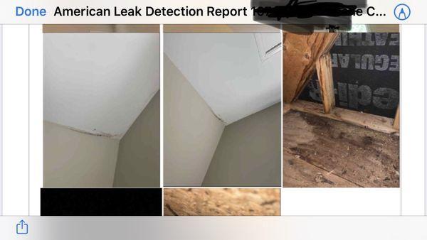 Water damage from leak inspection.