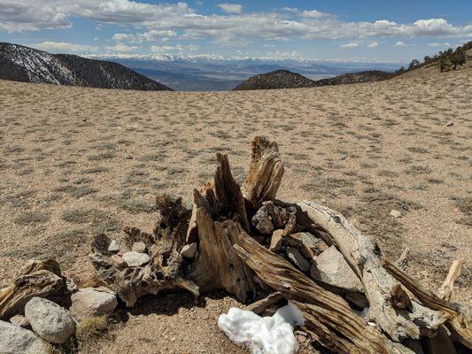 Boundary Peak