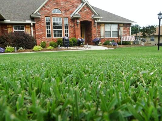 Customer Yard serviced by Turf-Pro USA 479-474-LAWN. Located in Van Buren AR