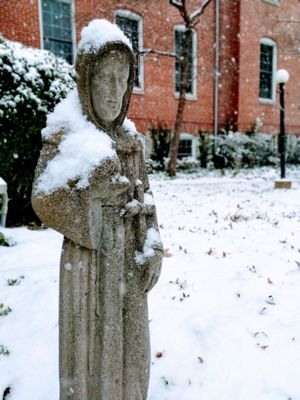 St Francis statue