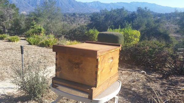 Custom built bee boxes available