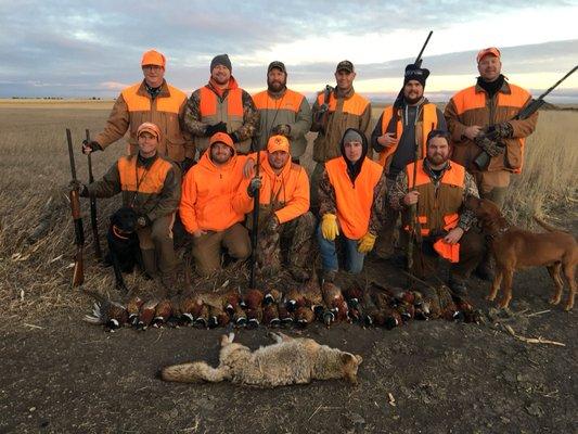 Group Pheasant Hunting