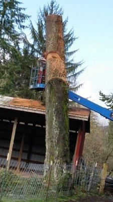 3MB Tree Removal and Logging