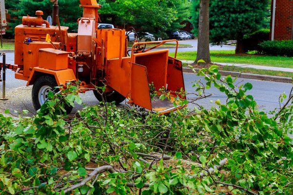 Having a stump on your Louisville property is unattractive, but it can also be a potential danger if you trip over it or fail...