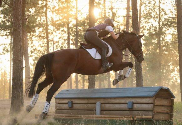 Annika & Z Violet XC Schooling