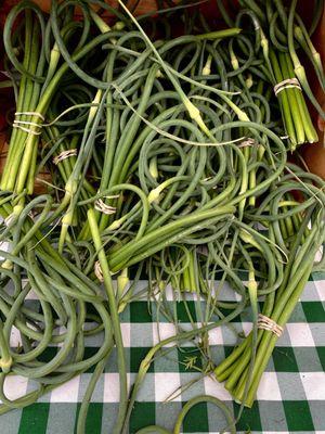 Garlic greens fresh from The farm.