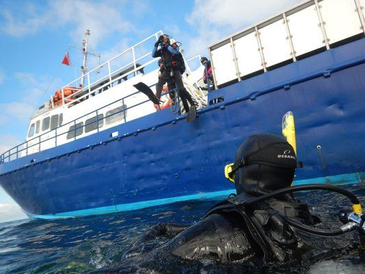 Giant Stride from Spectre at Anacapa Island