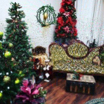 Amazing displays of many Christmas decor styles