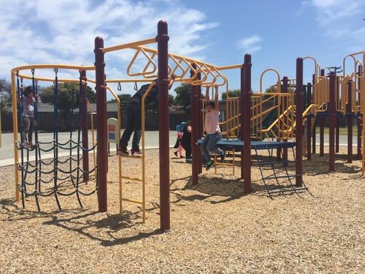 Playing on the monkey bars.