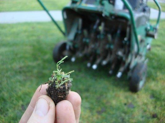 Core Aeration time ! Let us give you a quote for Lawn Aeration.