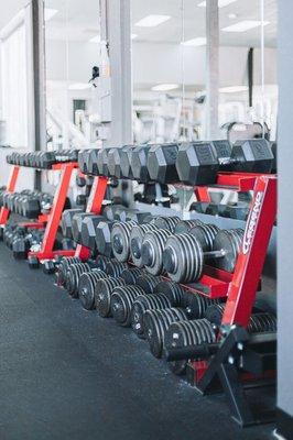 Dumbbells at Hightower Fitness go up to 140lbs