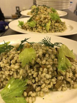 Barley Salad