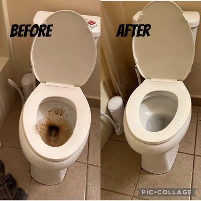 before & after toilet picture