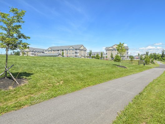 Trail Within Community (part of Limerick Township's Greenway Trail System)