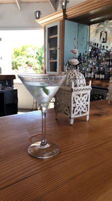 Perfect gin martini